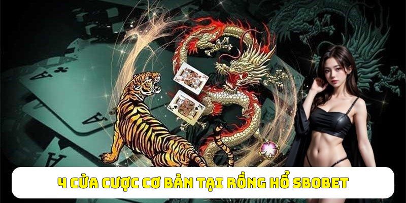 4 cửa cược cơ bản tại Rồng Hổ sbobet