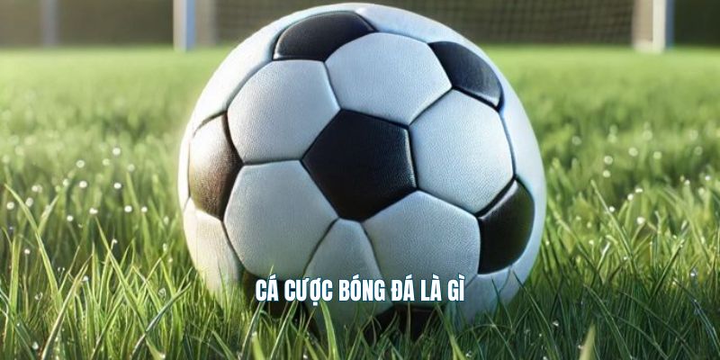 Giới thiệu về cá cược bóng đá
