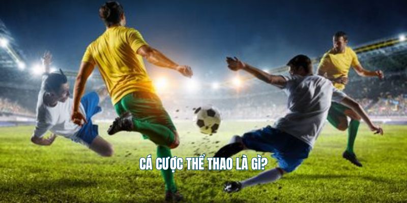 Tổng quan về cá cược thể thao tại sbobet