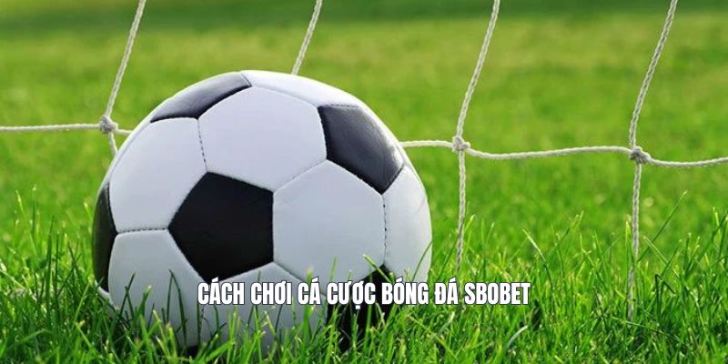 Cách chơi cược bóng đá ở Sbobet