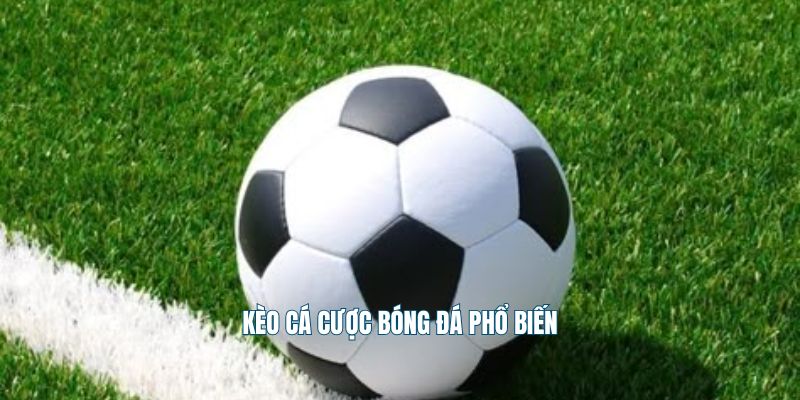 Các kèo cá cược bóng đá phổ biến