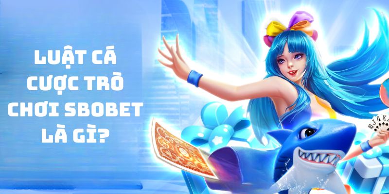 Khái niệm quy định đặt tiền ăn thưởng nhà cái Sbobet