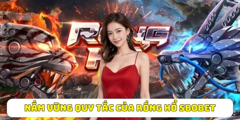 Nắm vững quy tắc của Rồng Hổ sbobet