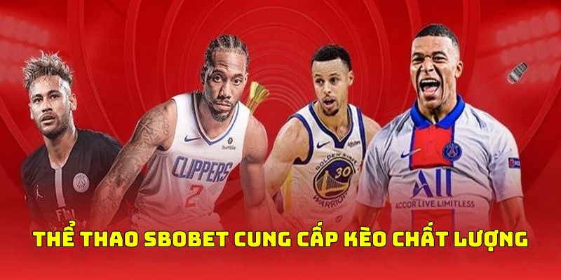 Thể thao là chuyên mục trọng điểm tại nhà cái sbobet