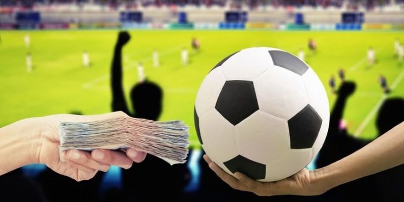 Tích hợp xem bóng đá trực tiếp ngay trong sân chơi