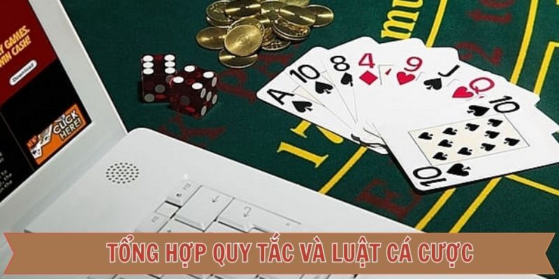 Vai trò hàng đầu của quy định tại hệ thống