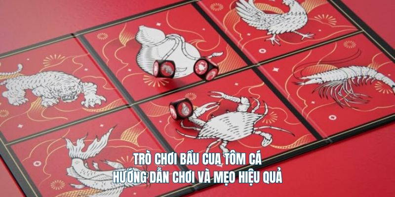 Trò Chơi Bầu Cua Tôm Cá: Hướng Dẫn Chơi Và Mẹo Hiệu Quả