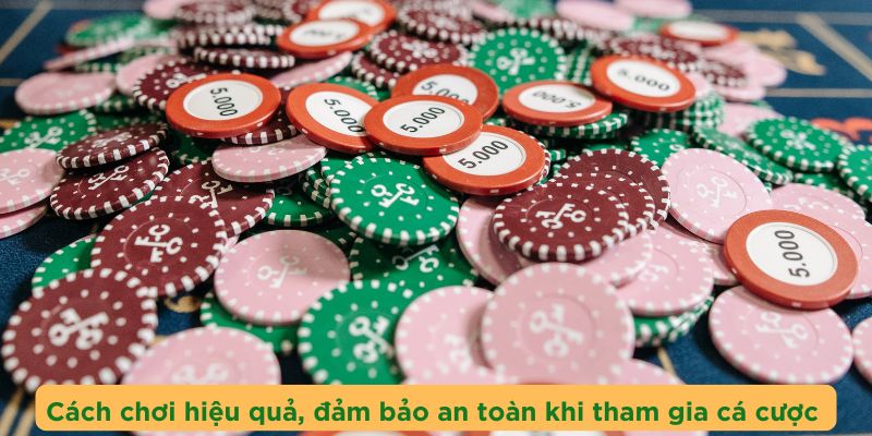 Cách chơi hiệu quả, đảm bảo an toàn khi tham gia cá cược